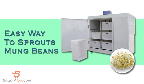 Bean Sprouting machine, bean sprout, sprouting machine in myanmar, bean sprouting myanmar