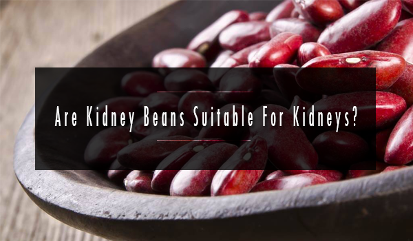 ﻿Are Kidney Beans Suitable For Kidneys, myanmar beans, bean, pulse, urad, myanmar pulses,