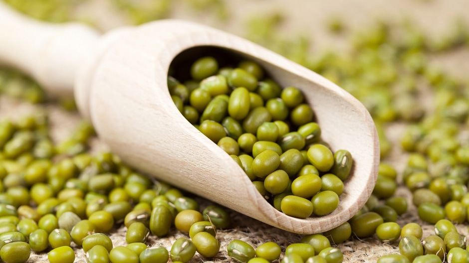 Mung Beans Nutrition & Benefits For Pregnant Women, mung beans in myanmar, Myanmar beans, Myanmar mung beans, Myanmar green mung beans